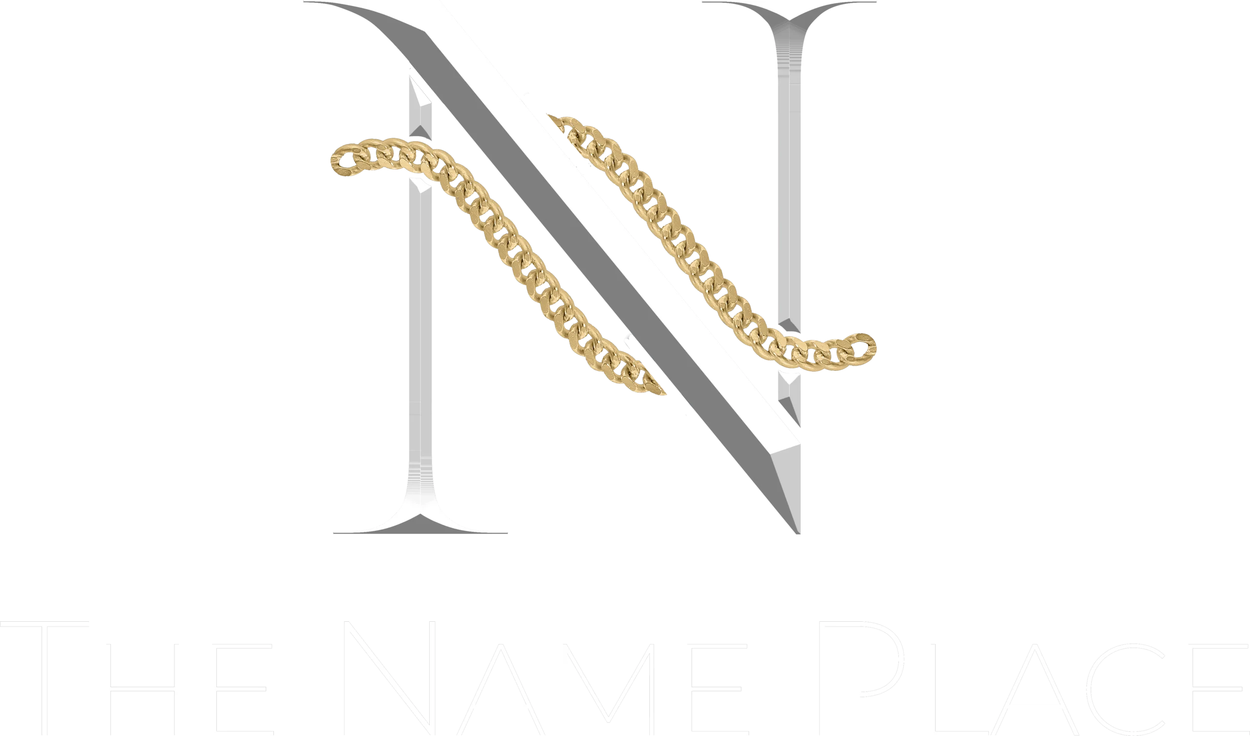 The Name Place Logo